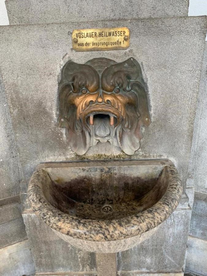 Villa Pazelt Top1 Bad Voslau Bagian luar foto